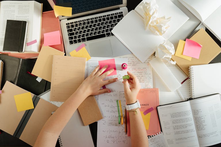 How to Create Admin Systems That Support Growth, Not Just Survival